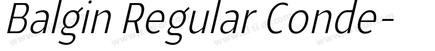 Balgin Regular Conde字体转换 Balgin Regular Conde字体转换